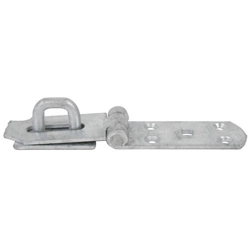 Hasp & staple